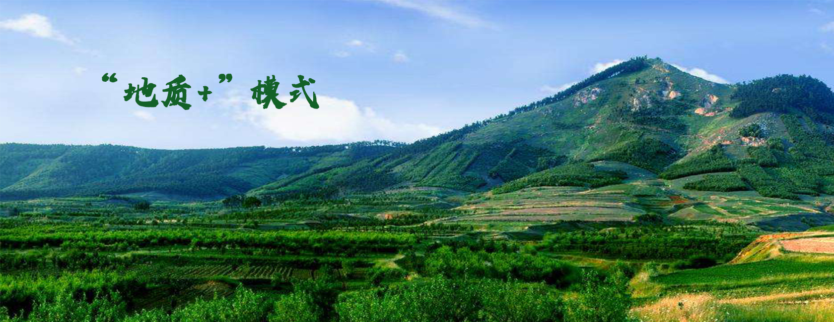 幻灯1